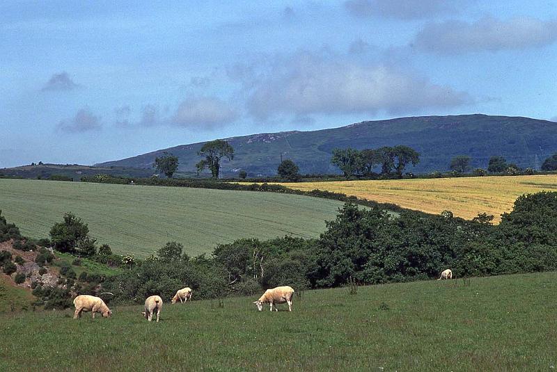 WT 2900 338-37 Ireland.jpg